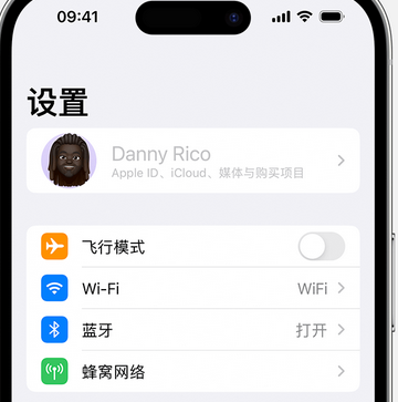 芜湖appleID维修服务iPhone设置中Apple ID显示为灰色无法使用 