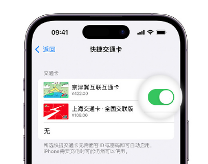 芜湖apple维修点分享iPhone上更换Apple Pay快捷交通卡手绘卡面 