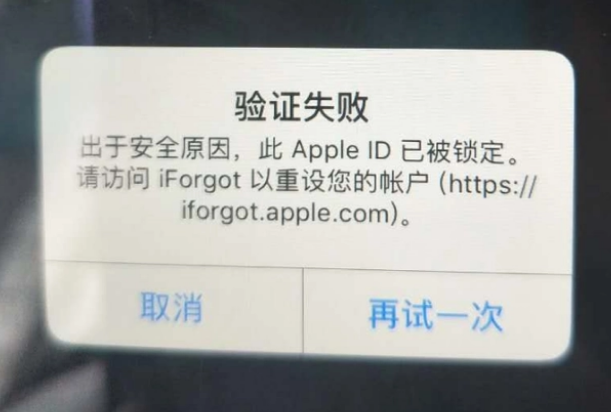 芜湖iPhone维修分享iPhone上正常登录或使用AppleID怎么办 