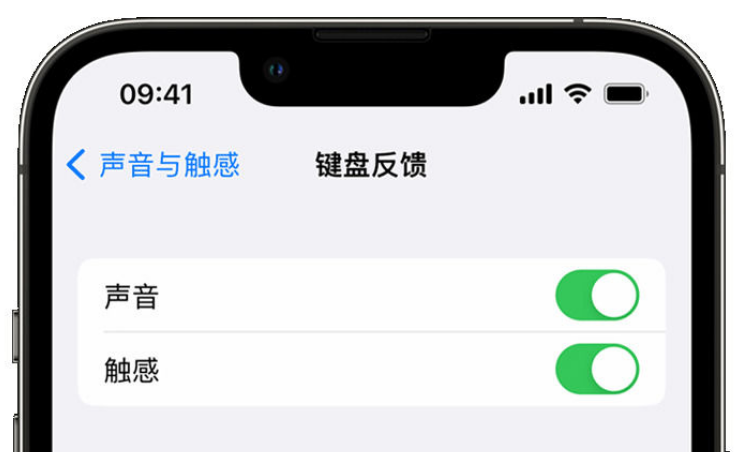 芜湖苹果手机维修分享iPhone 14触感键盘使用方法 