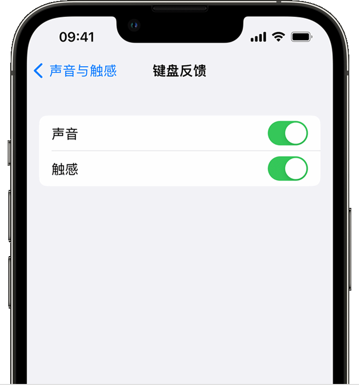 芜湖苹果14维修店分享如何在 iPhone 14 机型中使用触感键盘 