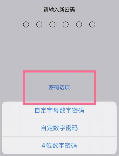 芜湖苹果14维修分享iPhone 14plus设置密码的方法 